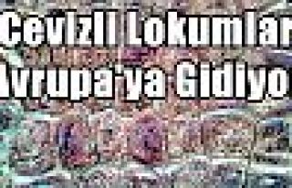 Cevizli Lokumlar Avrupa'ya Gidiyor