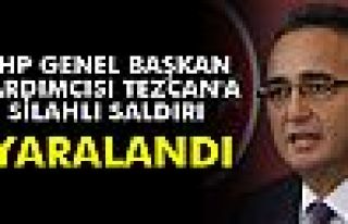 CHP Genel Başkan Yardımcısı Tezcan'a silahlı...