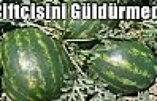 Çiftçisini Güldürmedi