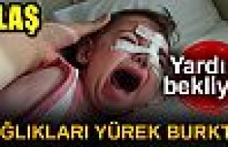 ÇIĞLIKLARI YÜREK BURKTU!