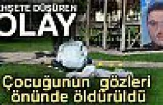 Çocuğuyla gittiği parkta bıçaklanarak öldürüldü