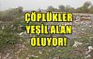 Çöplükler Yeşil Alan Oluyor