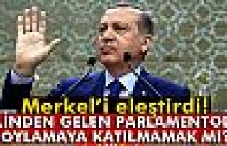 Cumhurbaşkanı Erdoğan: 'Elinden gelen parlamentoda...
