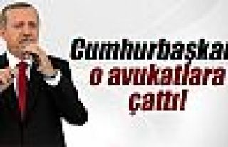 Cumhurbaşkanı Erdoğan o avukatlara çattı!