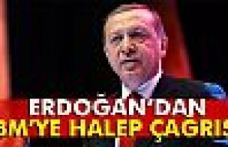 Cumhurbaşkanı Erdoğan'dan BM'ye Halep çağrısı