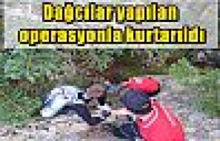 Dağcılar yapılan operasyonla kurtarıldı