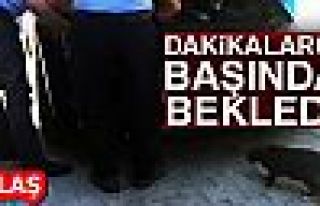 DAKİKALACA BAŞINDA BEKLEDİ!