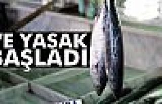 Denizlerde Av Yasağı Başladı