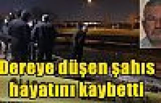 Dereye düşen şahıs hayatını kaybetti