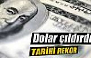 Dolar 2,46'yı aştı