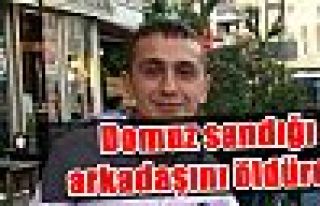 Domuz sandığı arkadaşını öldürdü