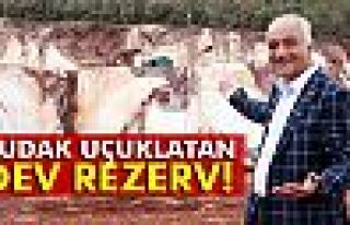 Dudak uçuklatan rezerv...