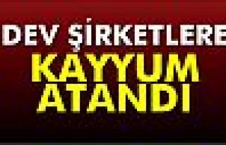 Dumankaya şirketlerine kayyum atandı