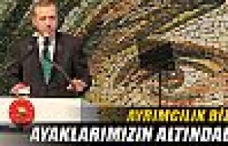 Erdoğan: ‘Ayrımcılık bizim ayaklarımızın...