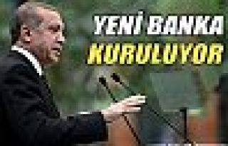 Erdoğan: 'Yeni banka kuruluyor'