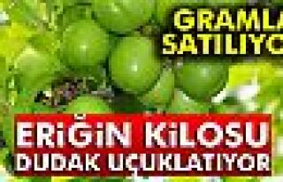 ERİĞİN KİLOSU 300 LİRA!