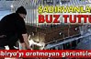 Erzurum’da şadırvanlar buz tuttu