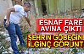 Esnaf fare avına çıktı