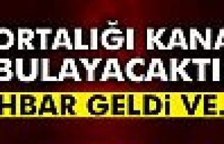 Eylem hazırlığındaki terörist yakalandı