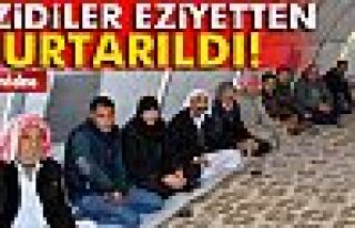 EZİDİLER Eziyetten Kurtarıldı!