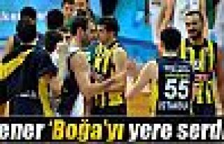 Fener, Boğa’yı yere serdi