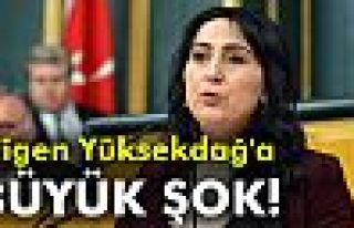 Figen Yüksekdağ'a müebbet hapis istemi