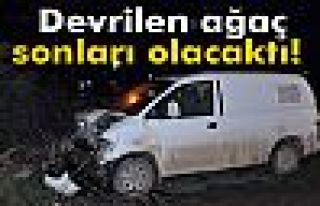 Fırtınada devrilen ağaç sonları olacaktı