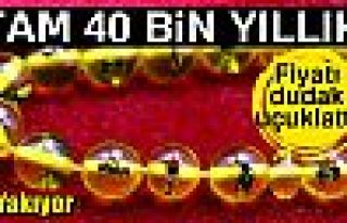 Fiyatı 7 bin dolar