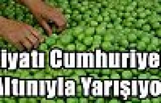 Fiyatı Cumhuriyet Altınıyla Yarışıyor