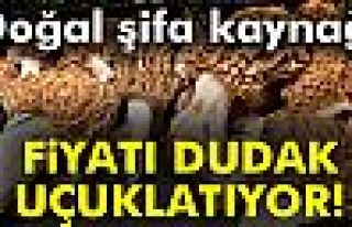 Fiyatı Dudak Uçuklatıyor!