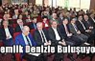 Gemlik Denizle Buluşuyor