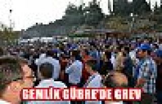 Gemlik Gübre'de grev