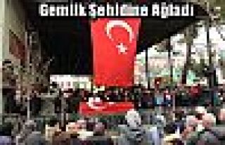 Gemlik Şehidine Ağladı 