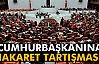 Genel Kurul'da ‘Cumhurbaşkanına hakaret’ tartışması