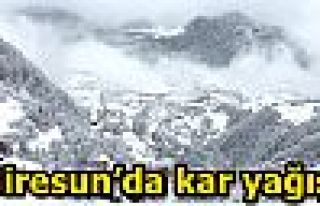 Giresun’da kar yağışı