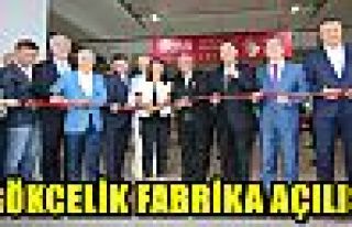 GÖKCELİK FABRİKA AÇILIŞ