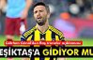 Gökhan Gönül'den transfer açıklaması