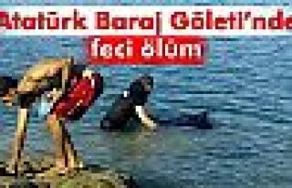 Gölete giren şahıs boğuldu