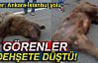 GÖRENLER DEHŞETE DÜŞTÜ!