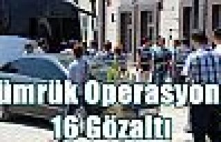 Gümrük operasyonu: 16 gözaltı