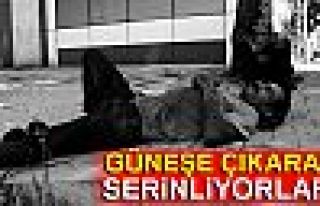 GÜNEŞE ÇIKARAK SERİNLİYORLAR!