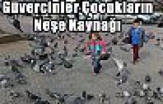 Güvercinler Çocukların Neşe Kaynağı