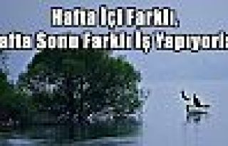 Hafta İçi Farklı, Hafta Sonu Farklı İş Yapıyorlar