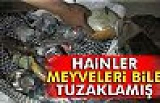 Hainlerin haberleşme sistemleri imha edildi