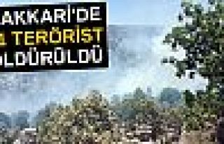 HAKKARİ'DE 11 TERÖRİST ÖLDÜRÜLDÜ!