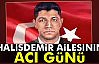 Halisdemir Ailesinin acı günü