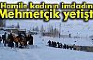 Hamile Kadının İmdadına Mehmetçik Yetişti