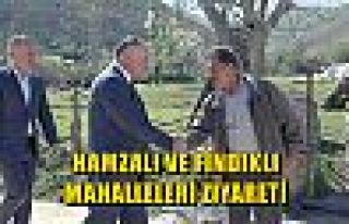 Hamzalı ve Fındıklı Mahalleleri Ziyaret