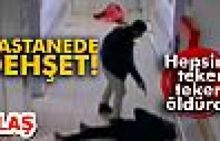 Hastanede Dehşet!