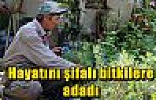 Hayatını şifalı bitkilere adadı